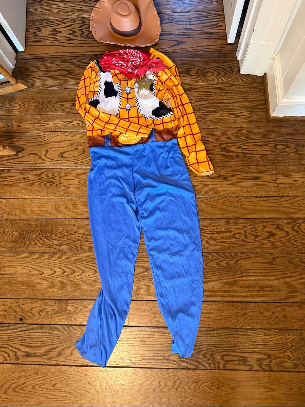 Toy Story Woody Adult XL costume
